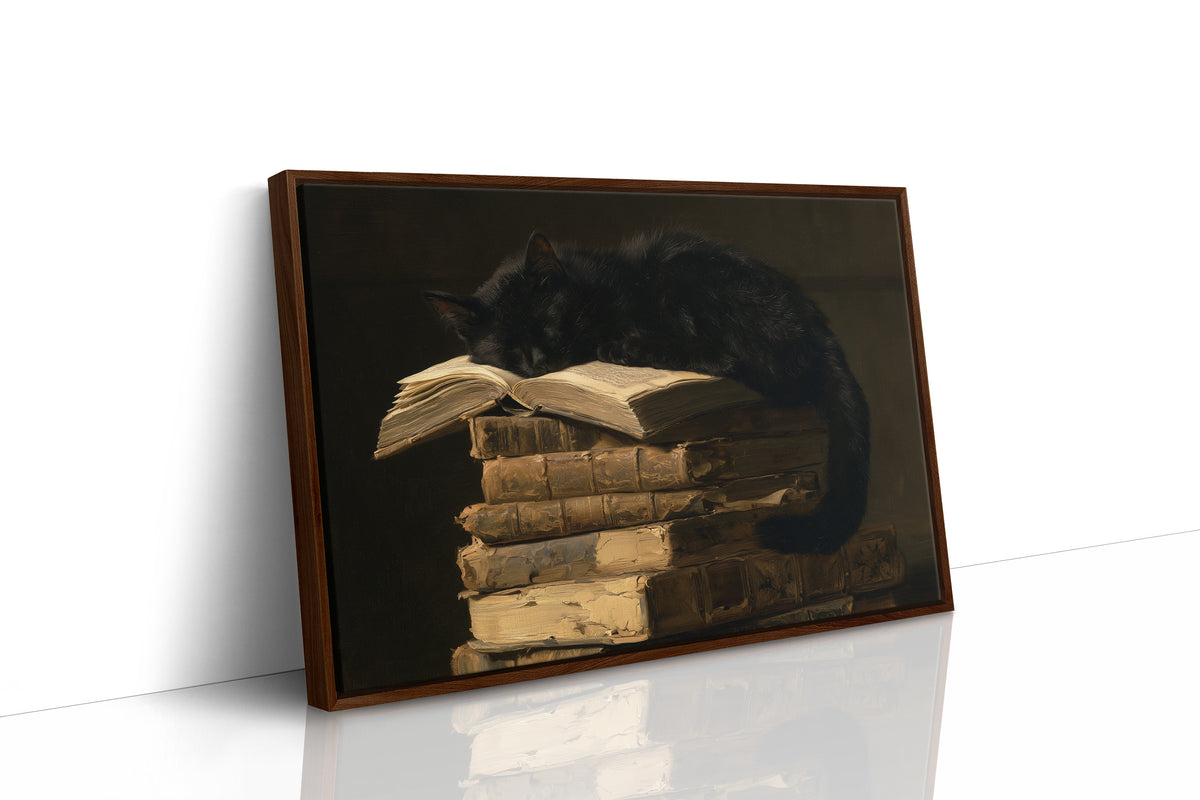 Light Reading, Heavy Napping