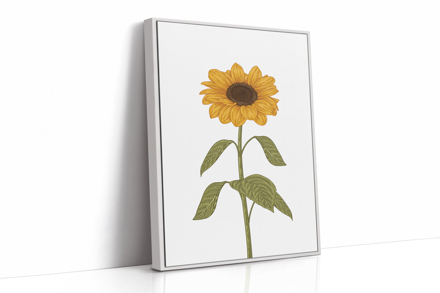 Golden Petals Follow Morning Light