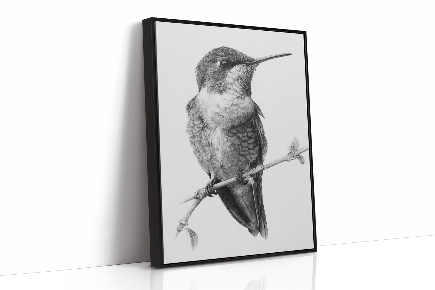 The Stillness of Feathered Grace