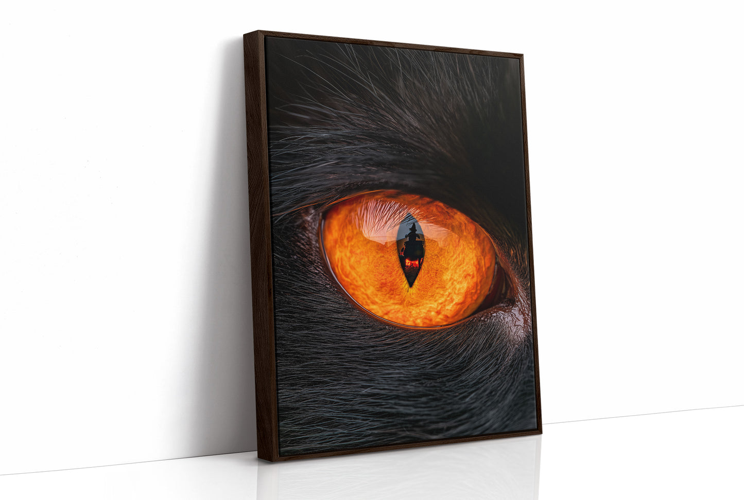 What the Cat's Eye Saw
