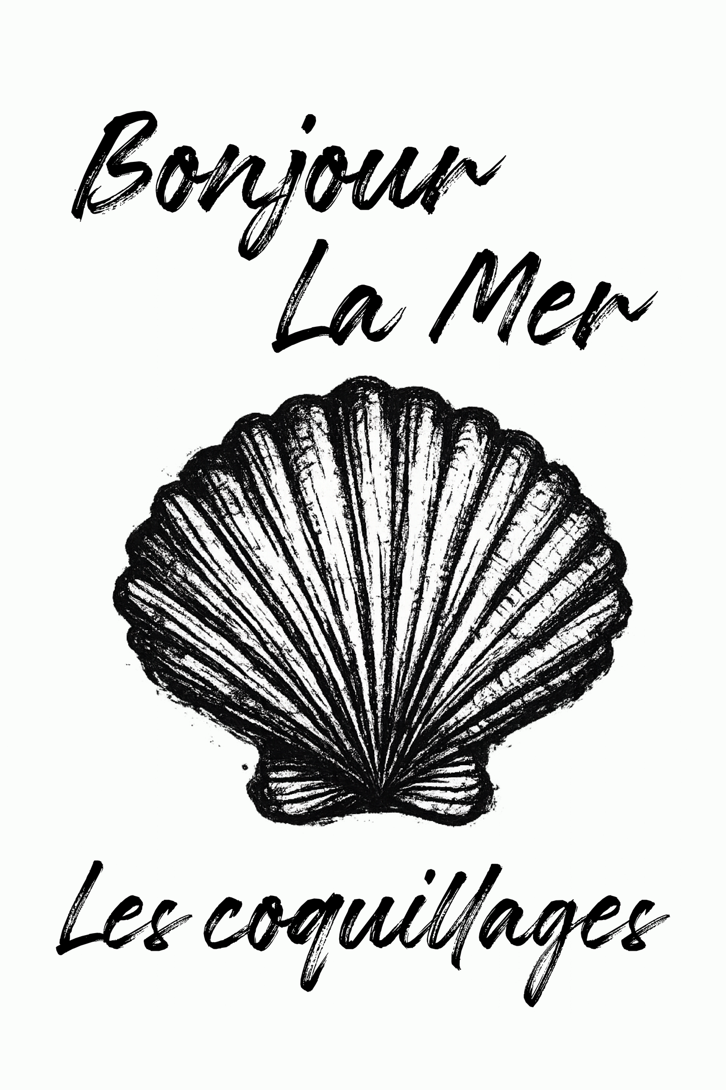 Carried Home from the Coast