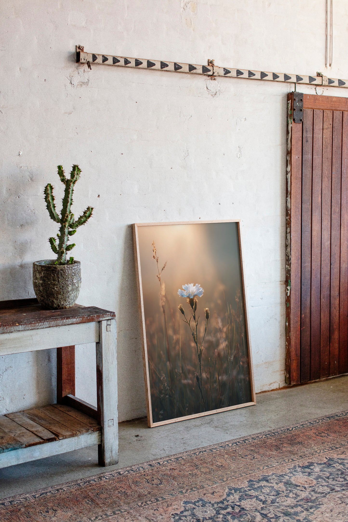 Gallery image 10 for AL1825 - Premium Art Print