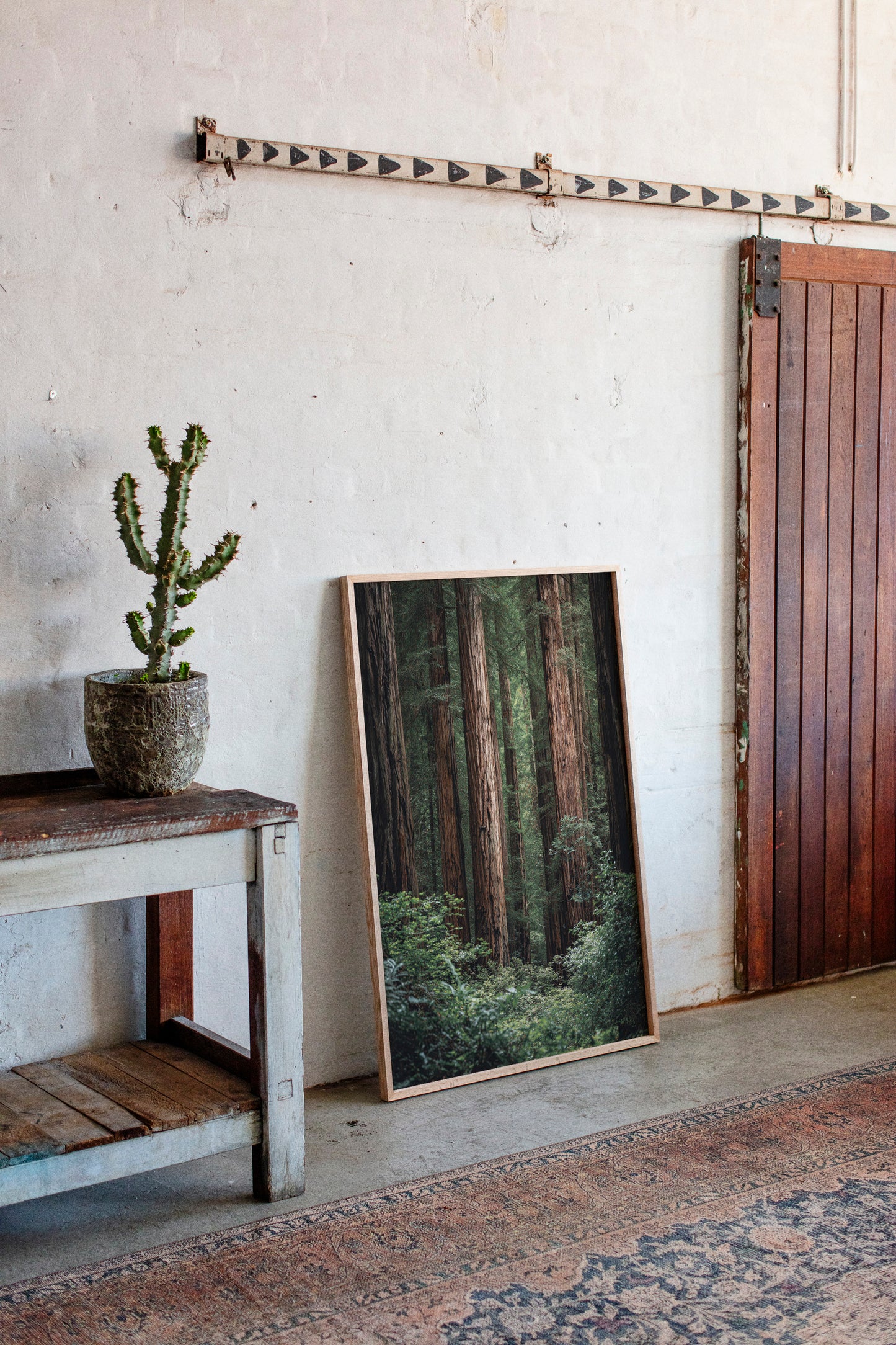 Gallery image 5 for AL1864 - Premium Art Print