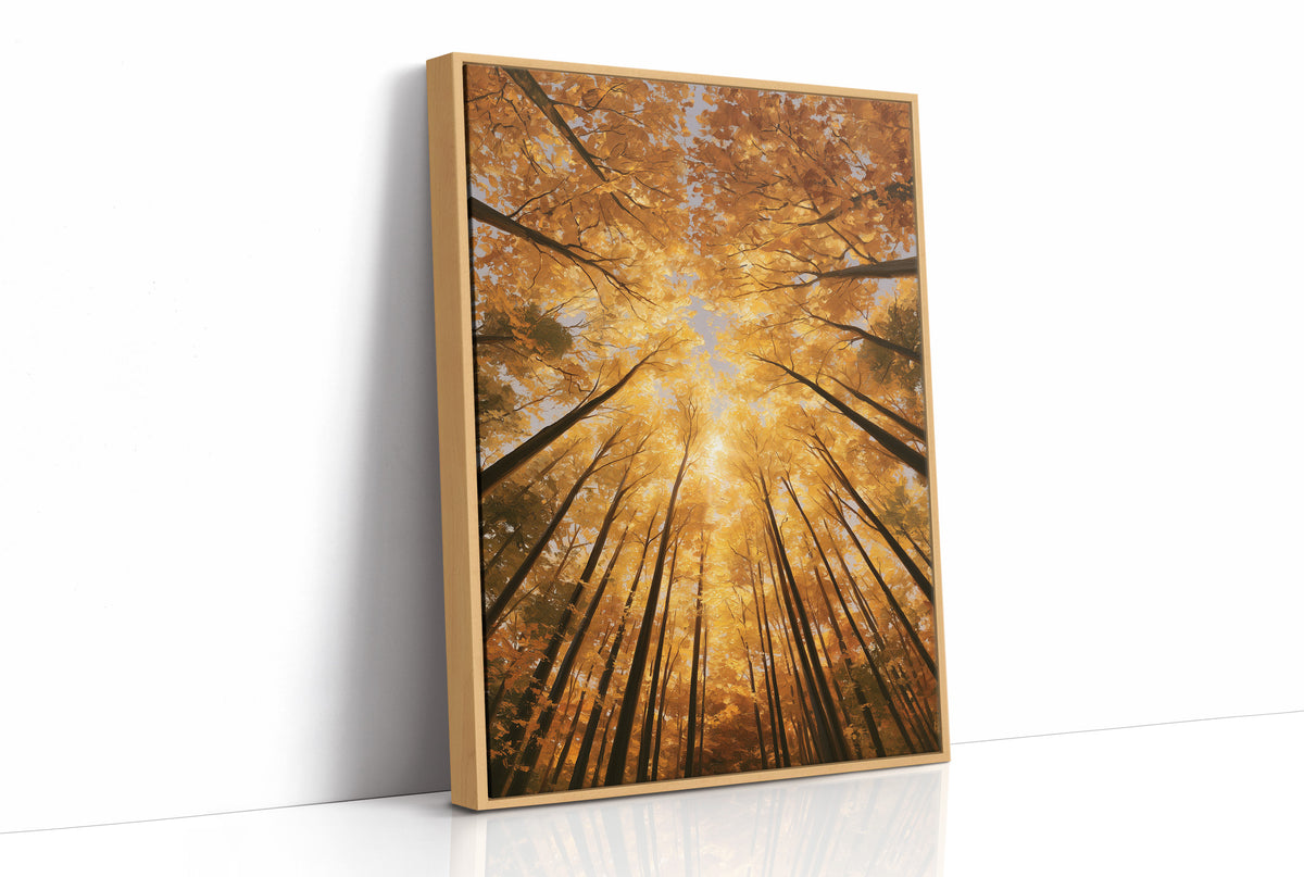 Gold Light Climbs the Tall Trees, a view straight up through tall forest trunks to a canopy lit gold from within, with shafts of warm light falling through the leaves, in amber, deep gold and forest brown, as a framed canvas in a natural wood frame