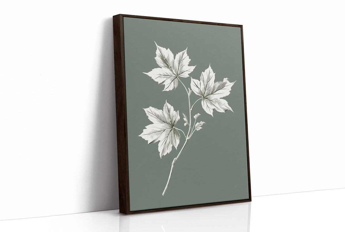 Leaves Kept Pale Against Sage, a sprig of pale maple leaves drawn in bone and white lines on a muted sage green ground, a pressed botanical study with soft, careful shading, as a framed canvas in a brown frame