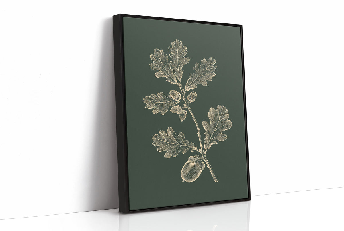 The Oak Keeps Its Harvest Close, a sprig of lobed oak leaves and three acorns drawn in pale cream lines on a deep forest green ground, in a botanical study style, as a framed canvas in a black frame