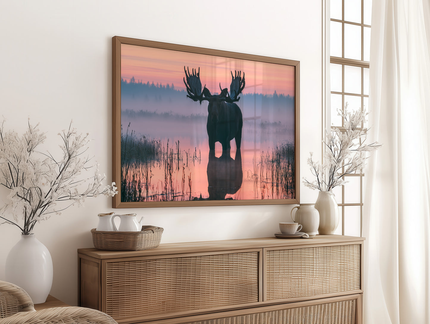 Bull Moose at First Light