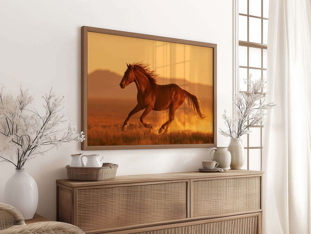 Chestnut Mustang at Golden Hour