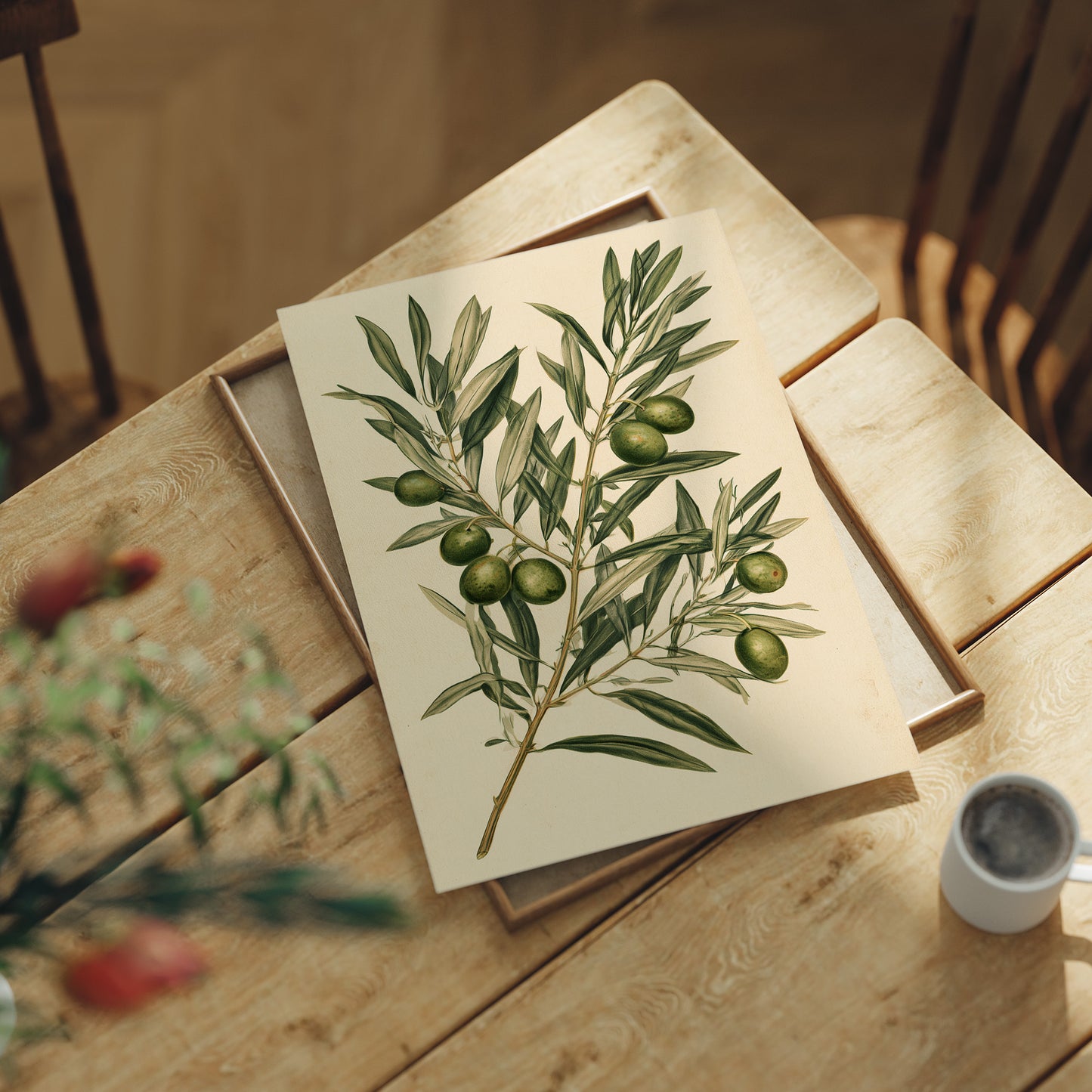 Olive Branch Botanical Study