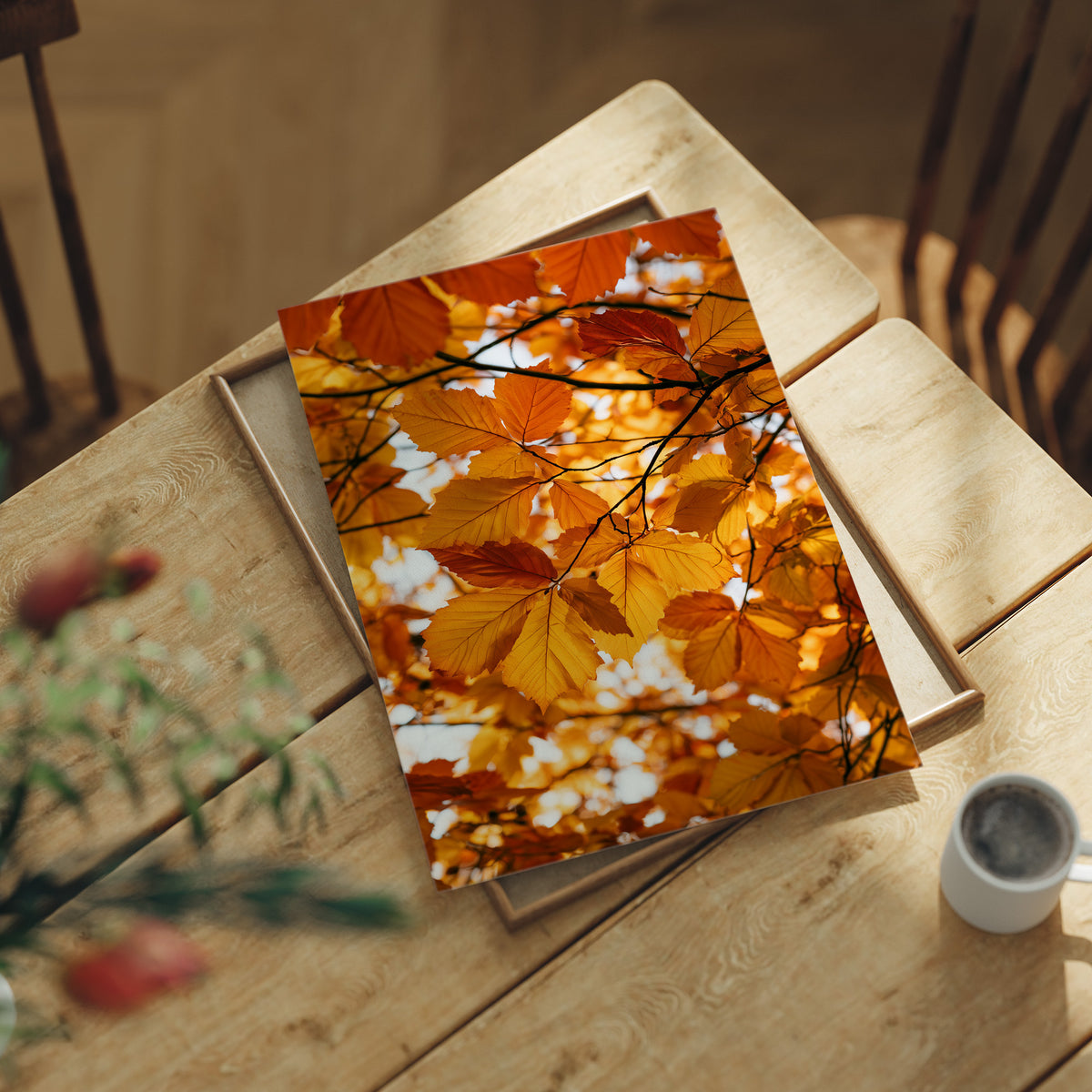 Stained Glass, Nature’s Version