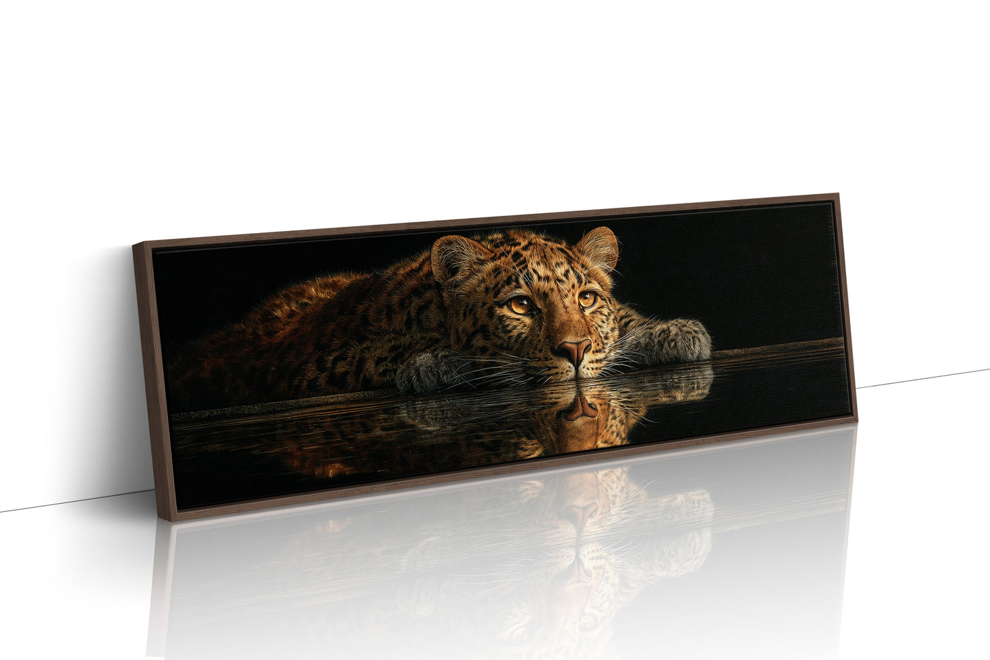 Resting Leopard Reflection