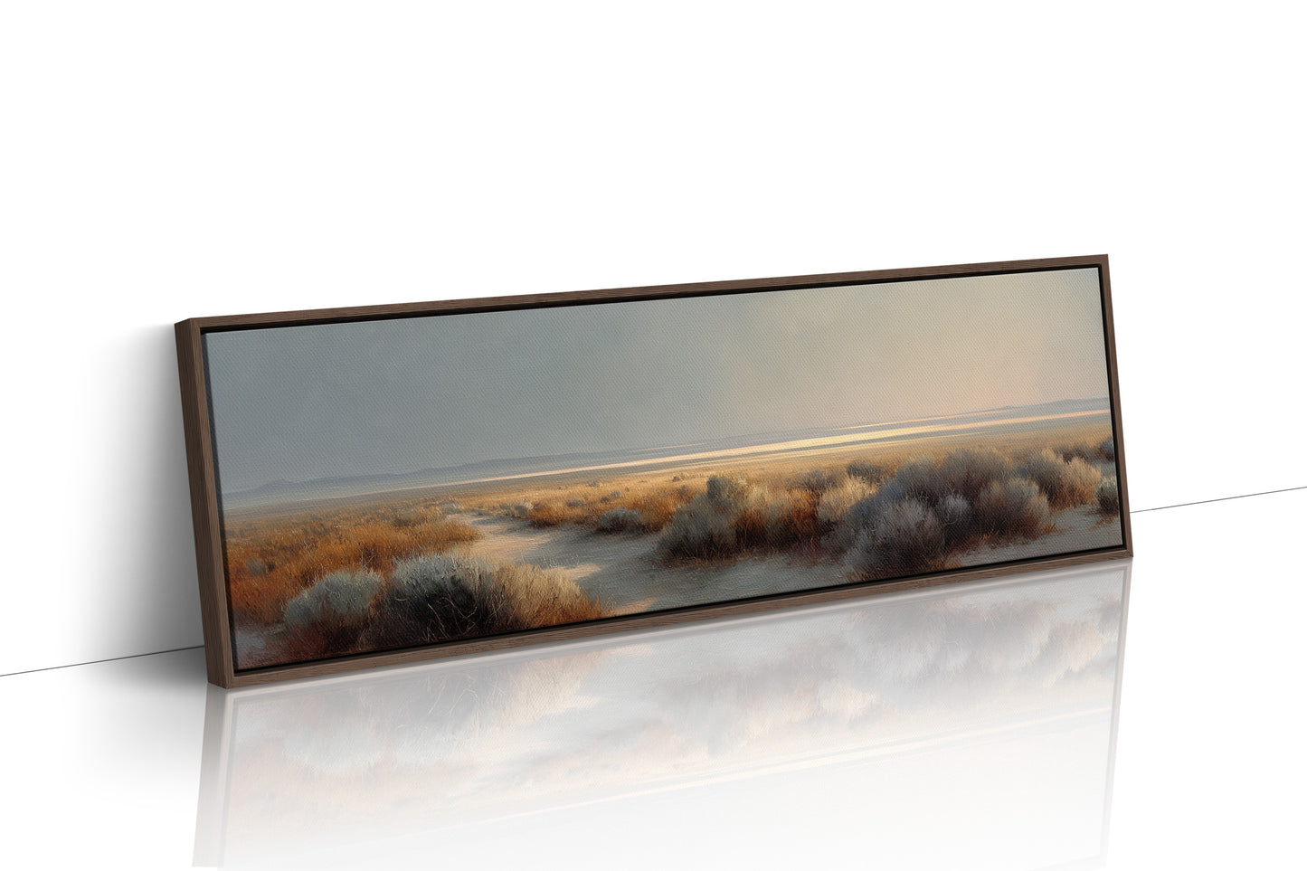Soft Light Over the Desert Flats