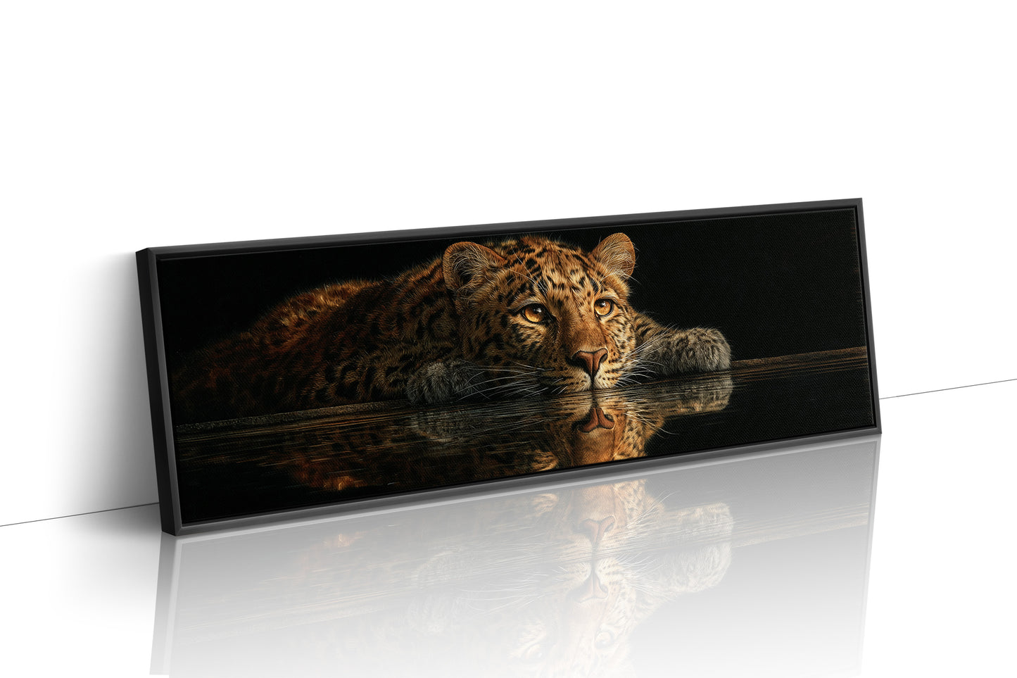 Resting Leopard Reflection