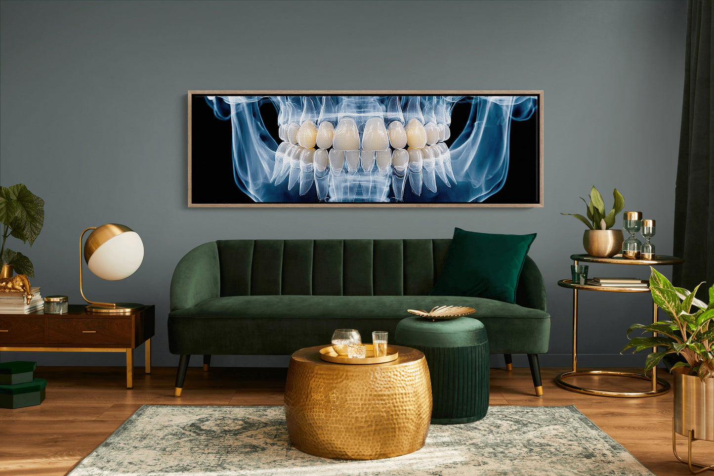 Dental X Ray Close Up