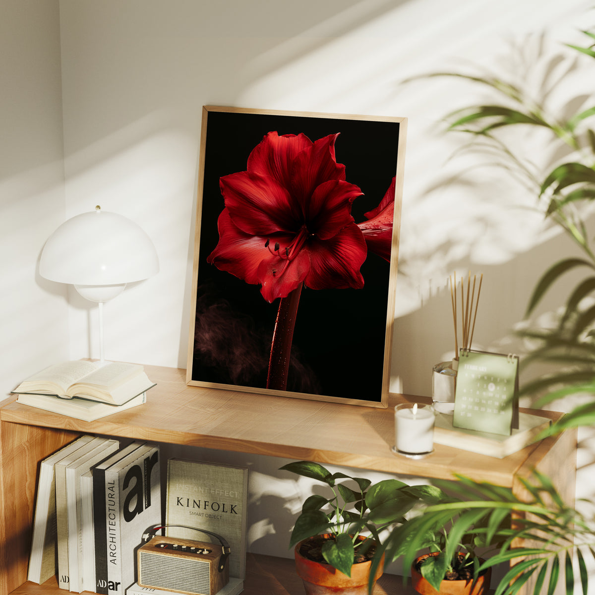 Amaryllis in Full Crimson Bloom