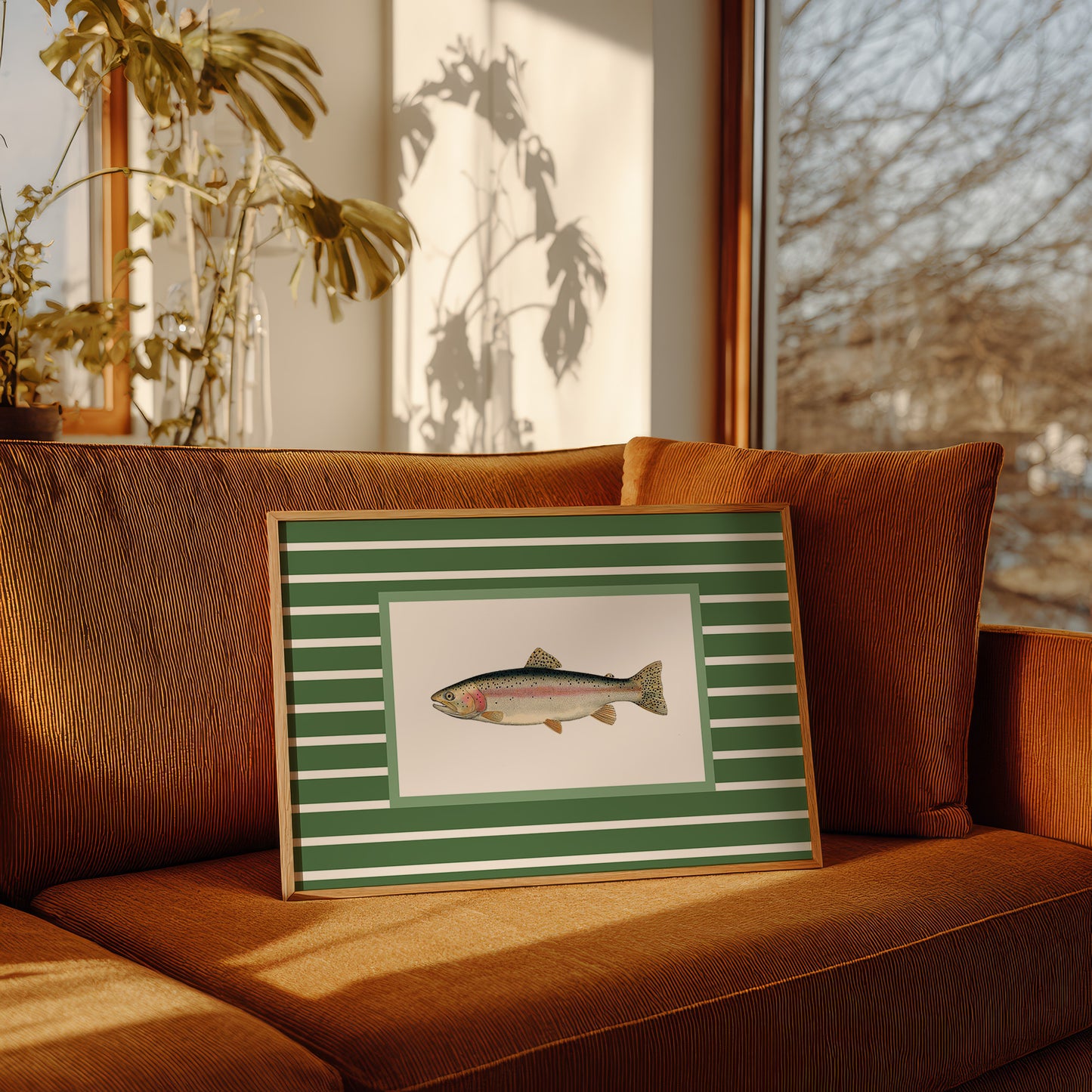 Striped Current Rainbow Catch