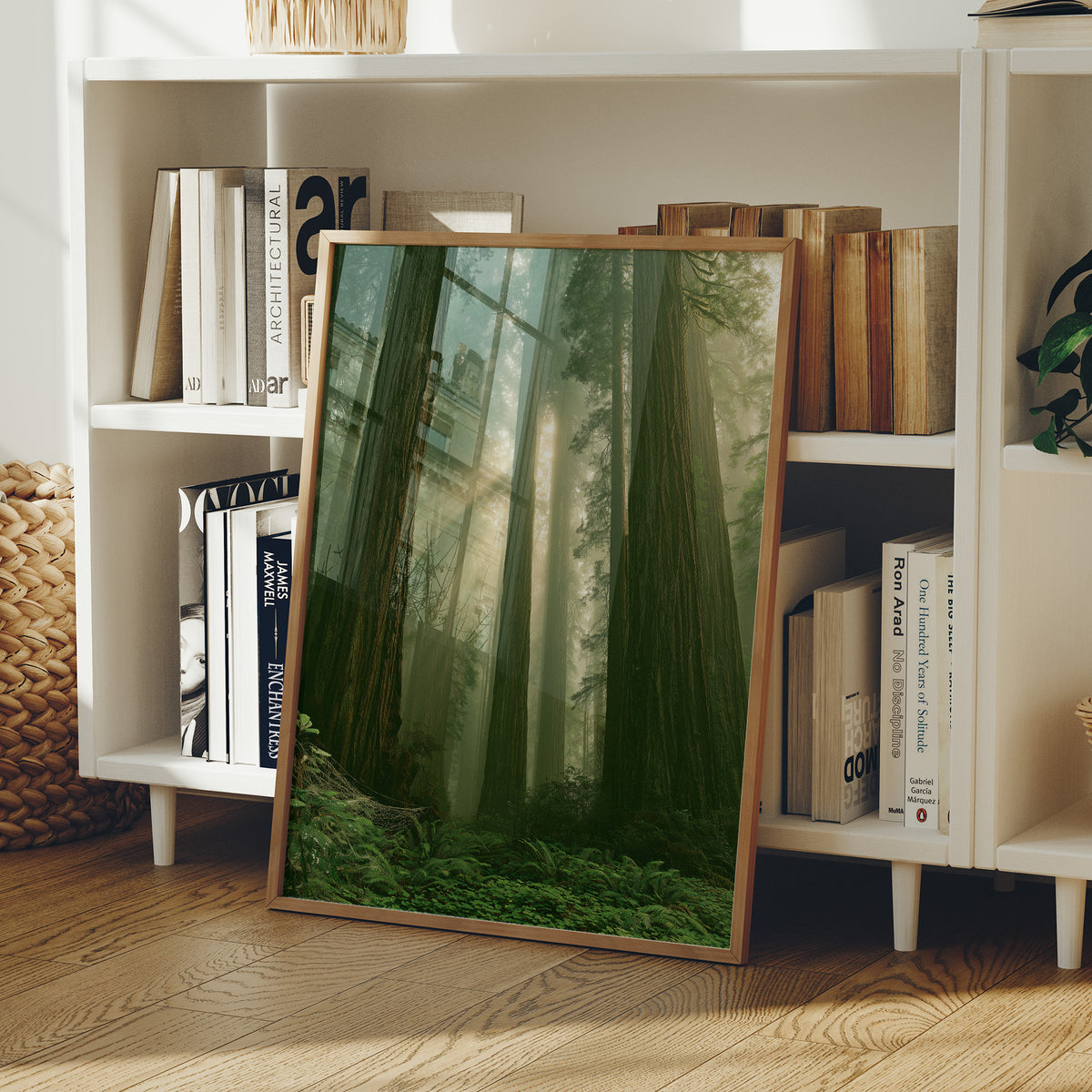 Sunbeams Through Redwood Forest