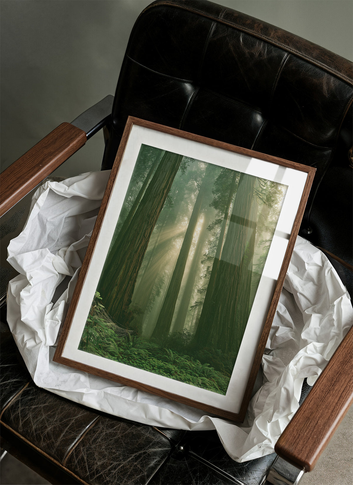 Sunbeams Through Redwood Forest