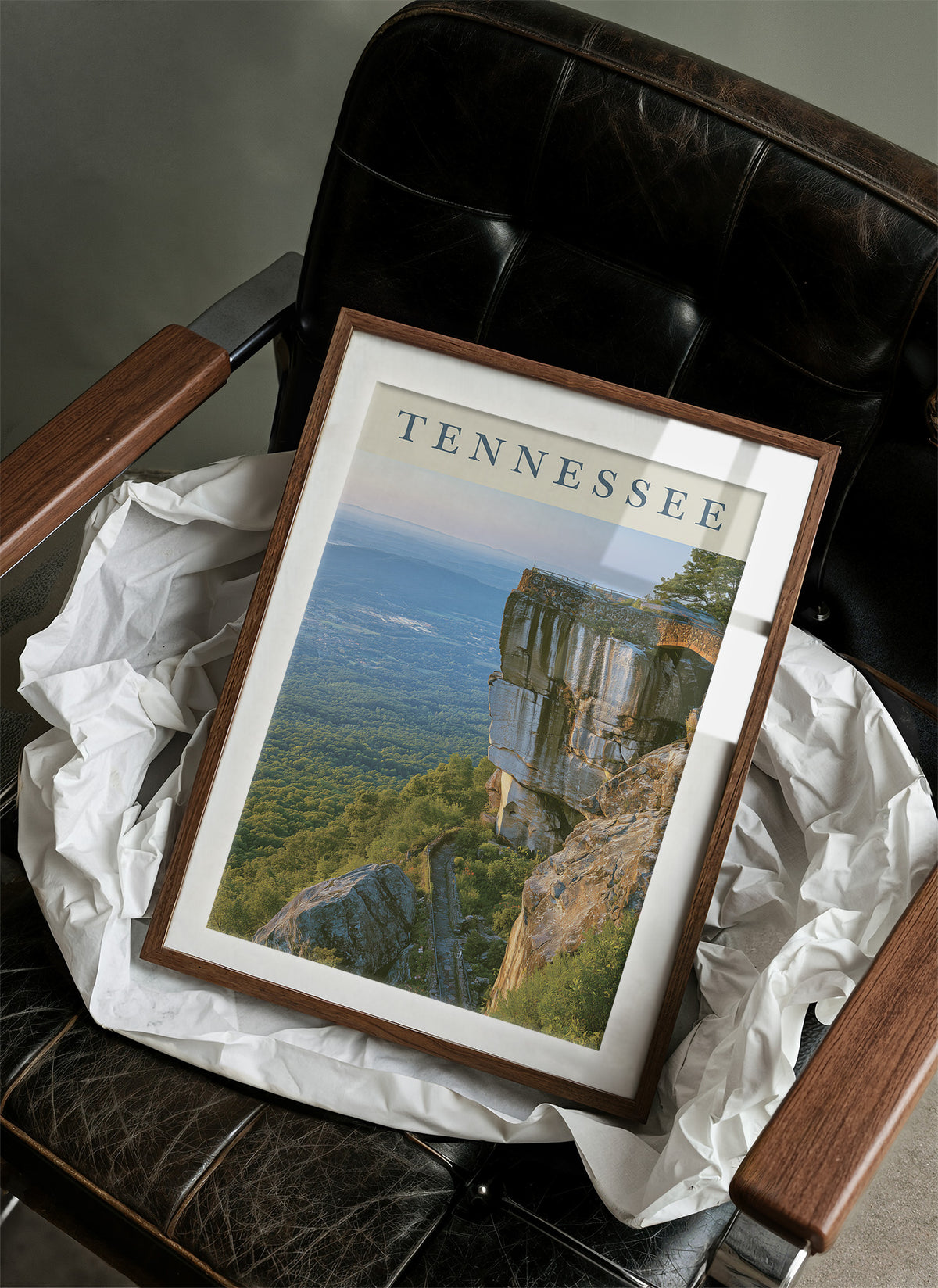 Lookout Mountain Valley Overlook