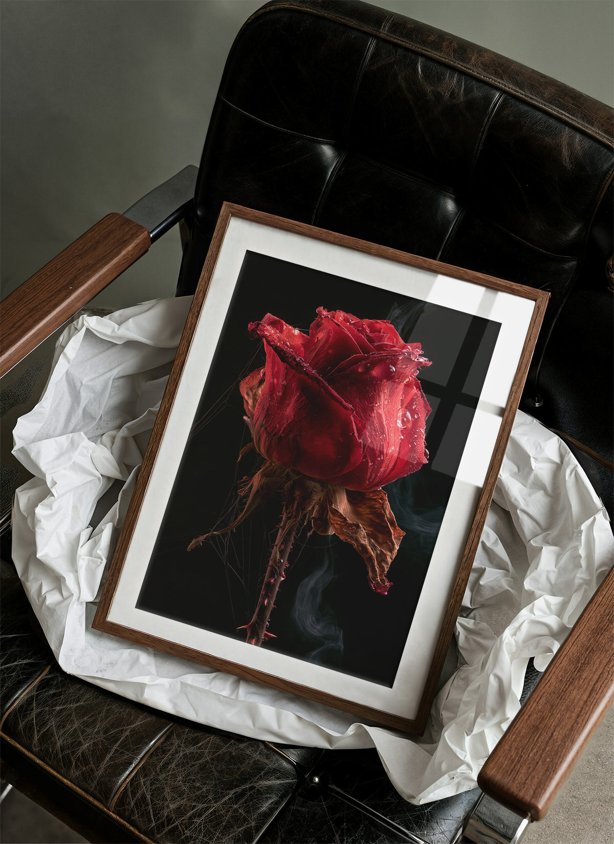 Beautiful Decay, One Red Rose