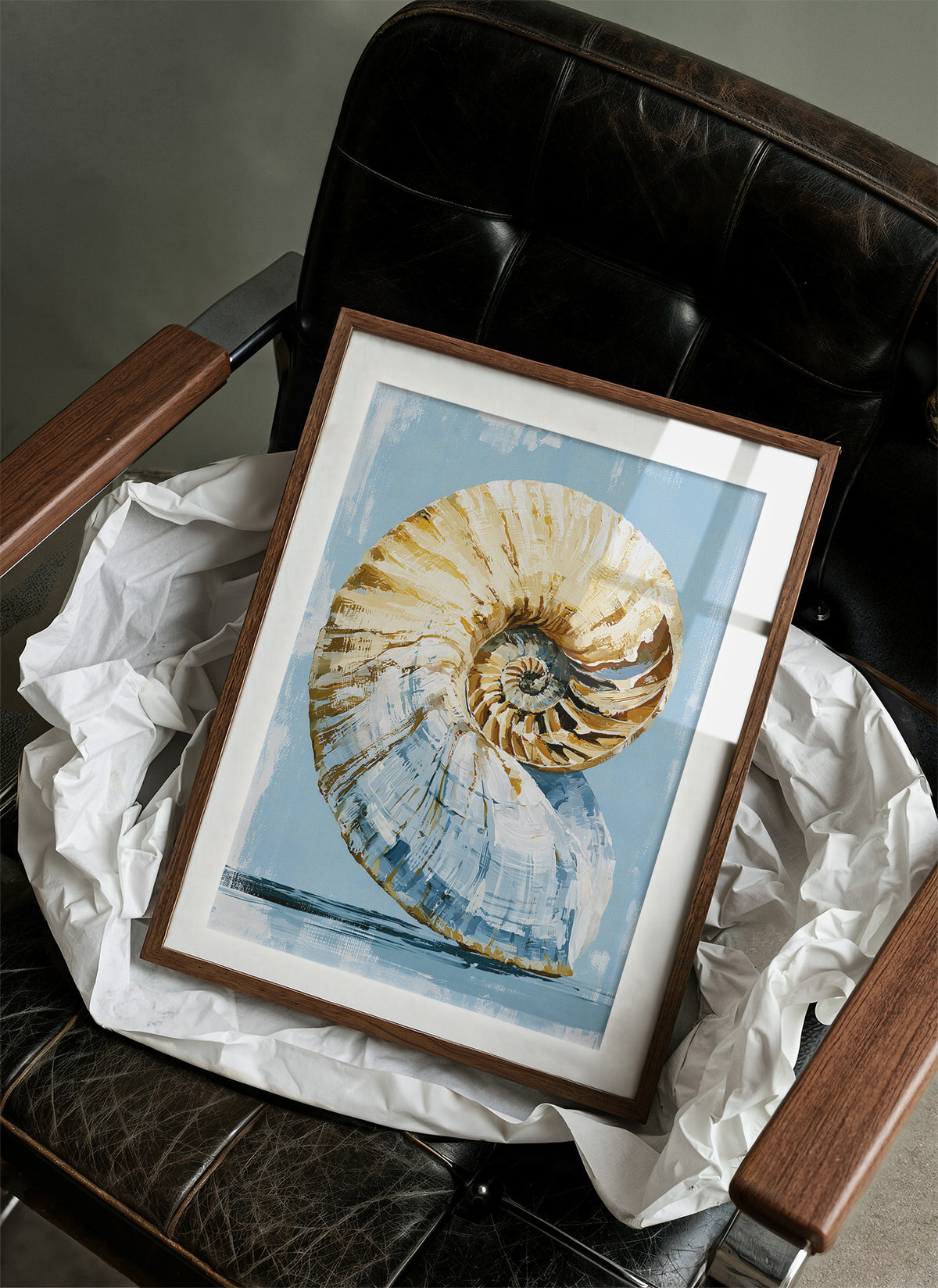 Golden Spiral, Nautilus Study