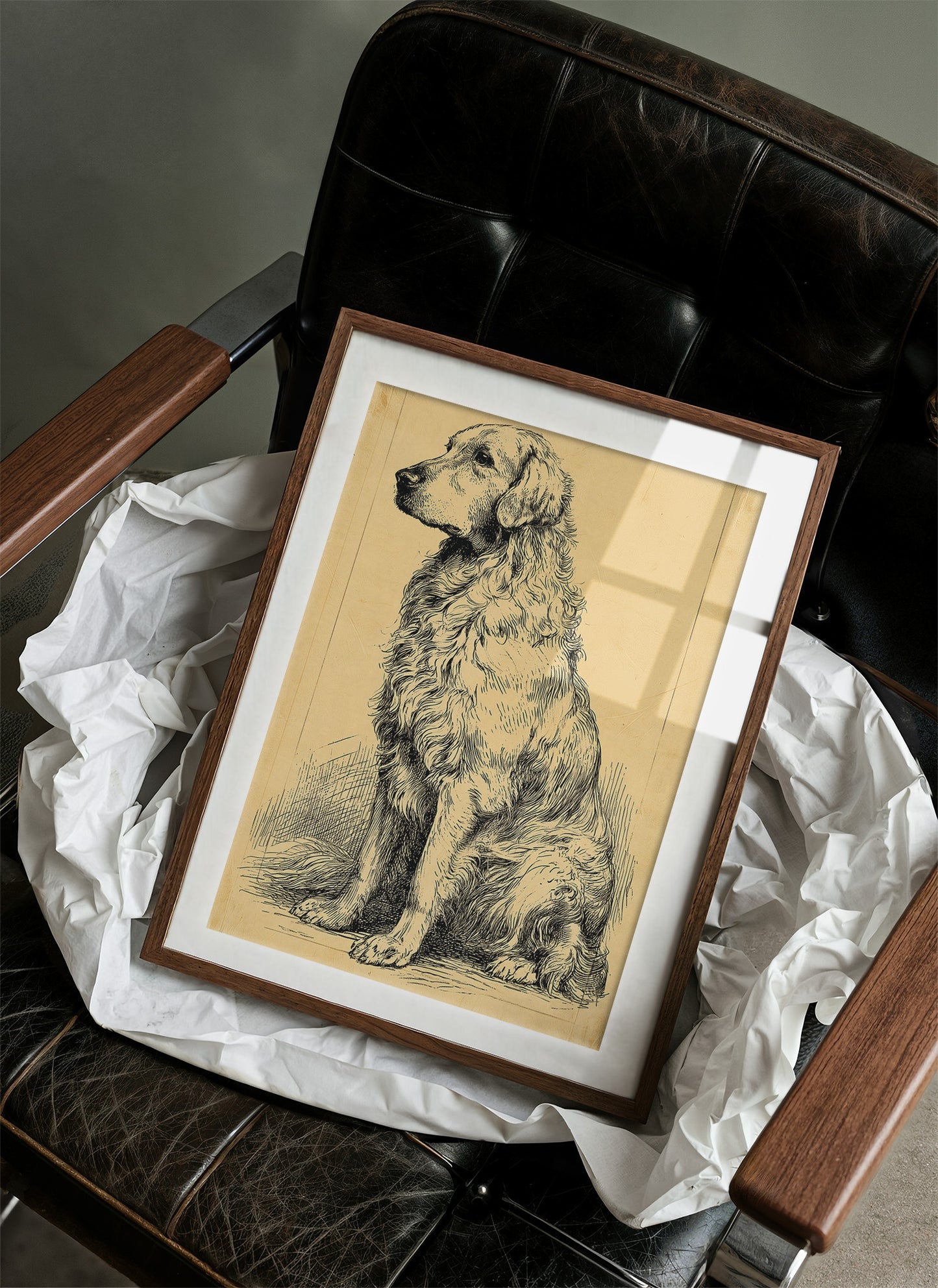 The Good Old Boy: Vintage Setter Sketch
