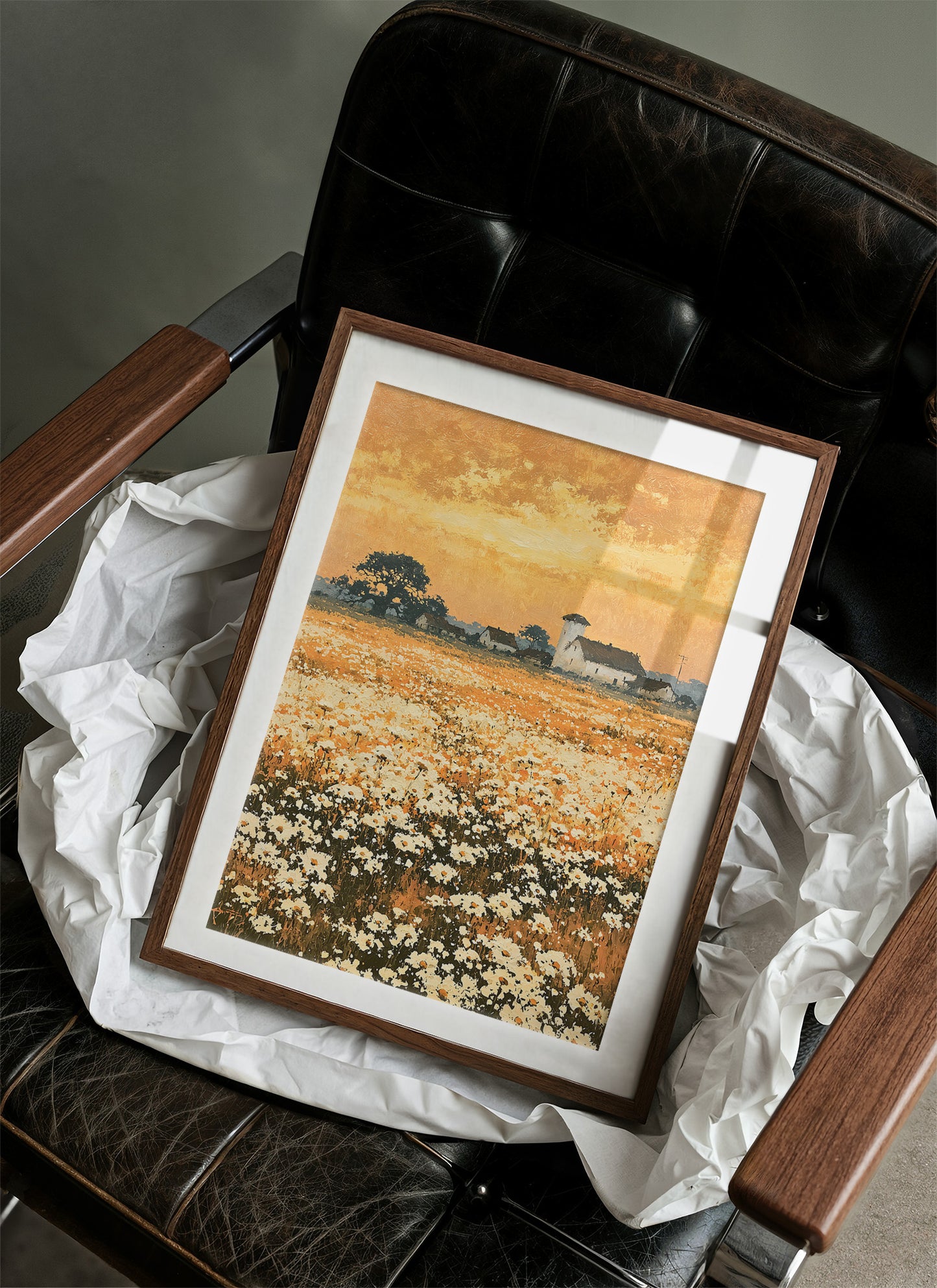 Daisy Fields at Golden Hour