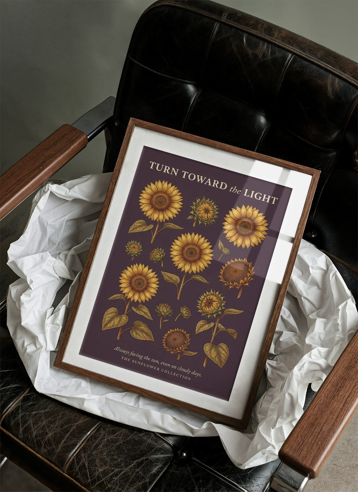 Turn Toward the Light: Vintage Sunflower Chart