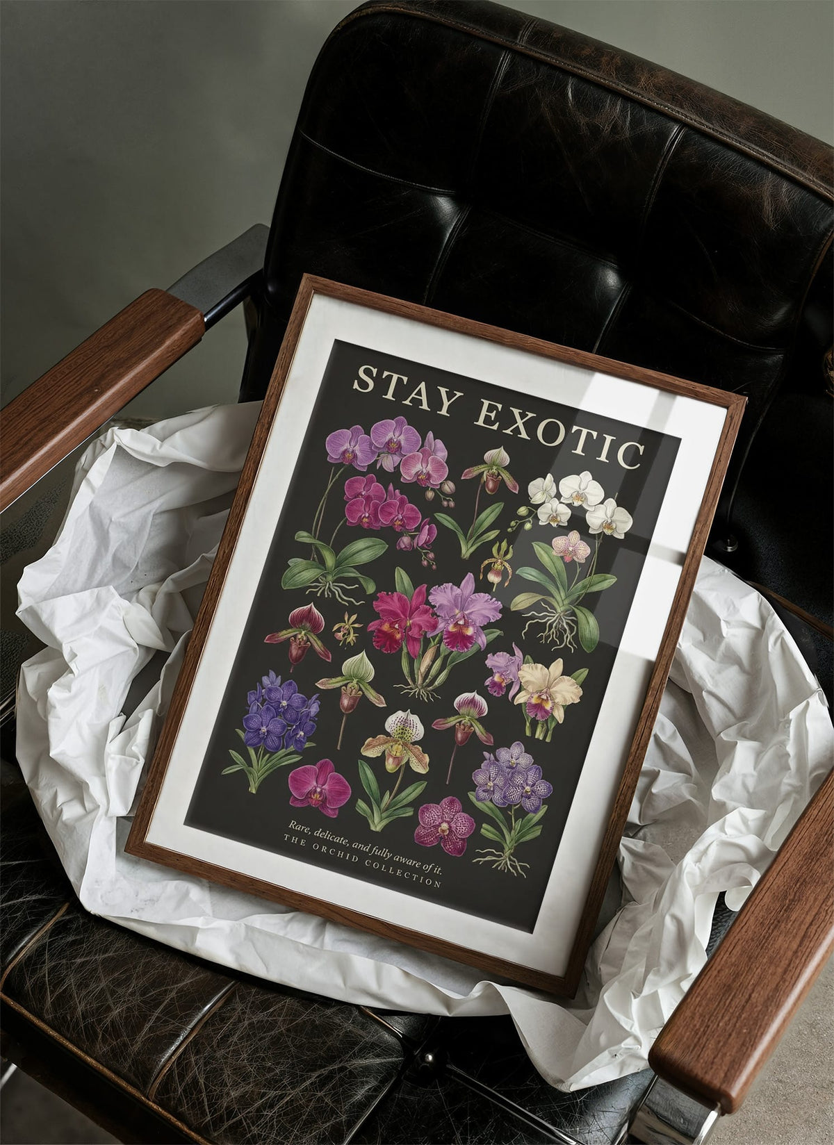 Stay Exotic: Vintage Orchid Chart