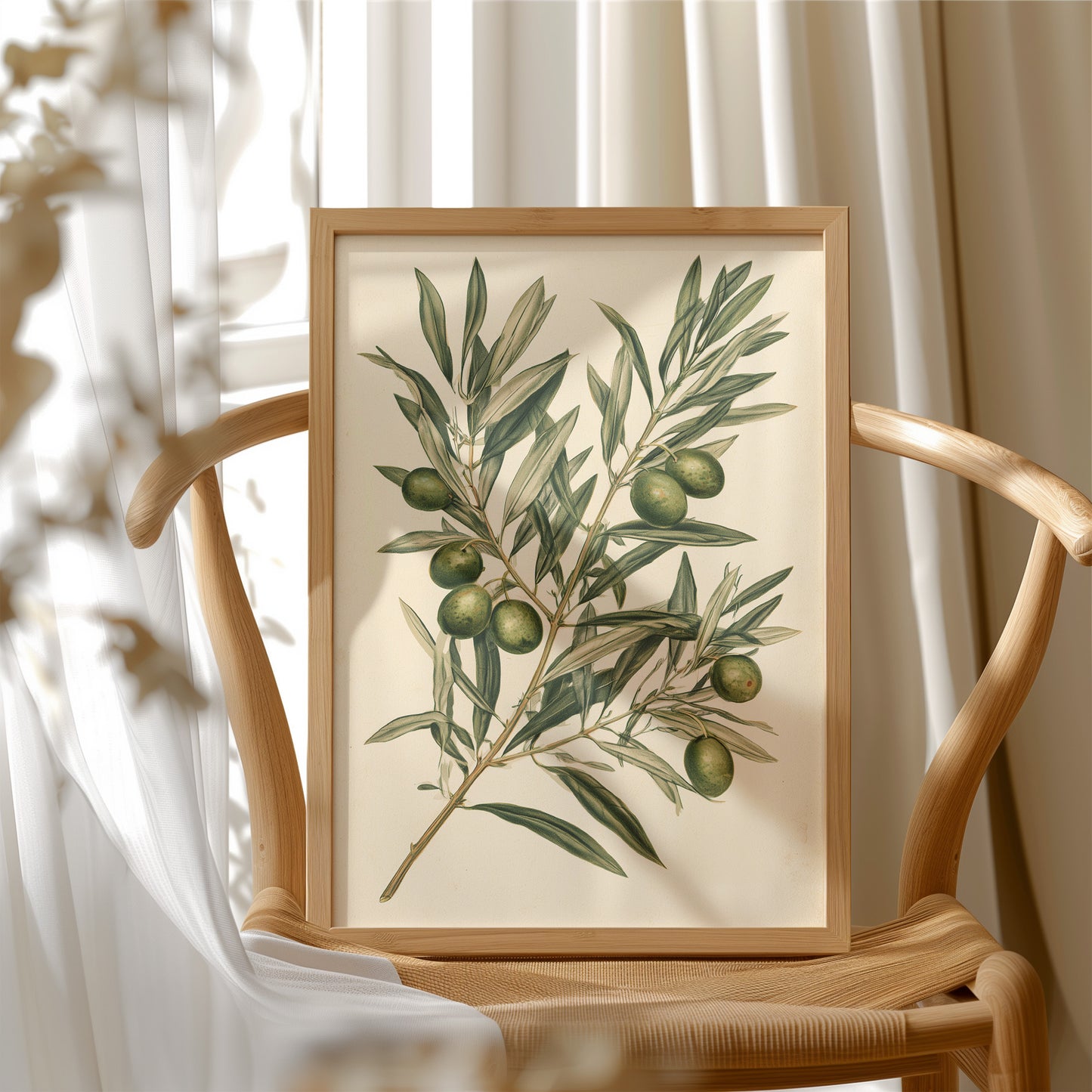 Olive Branch Botanical Study