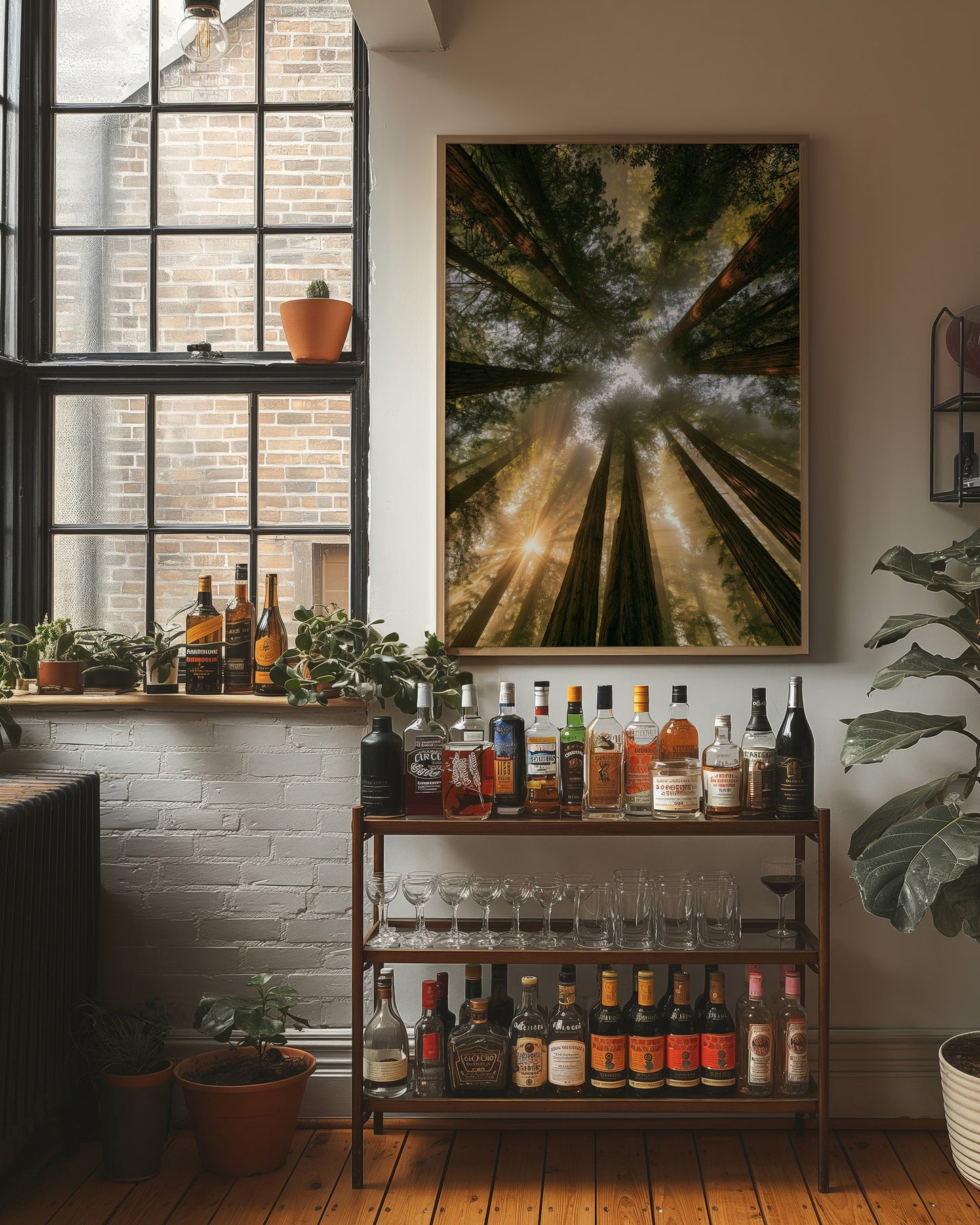 Redwoods and Sunburst