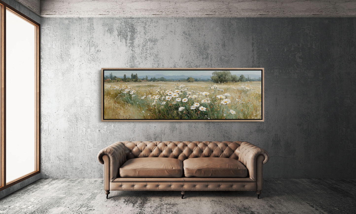Wild Daisies Across Golden Meadow