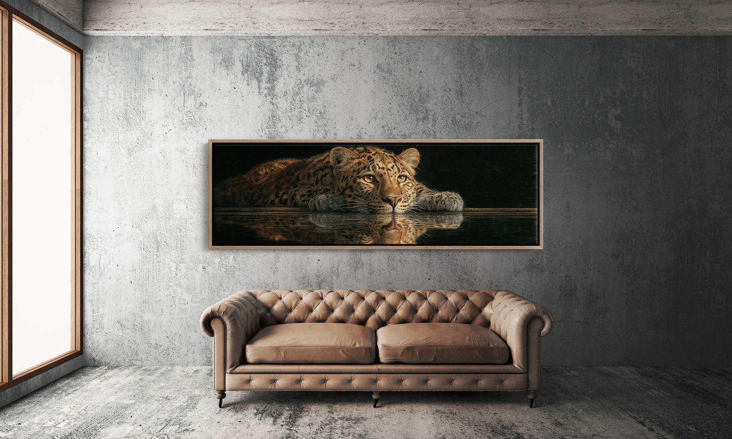 Resting Leopard Reflection