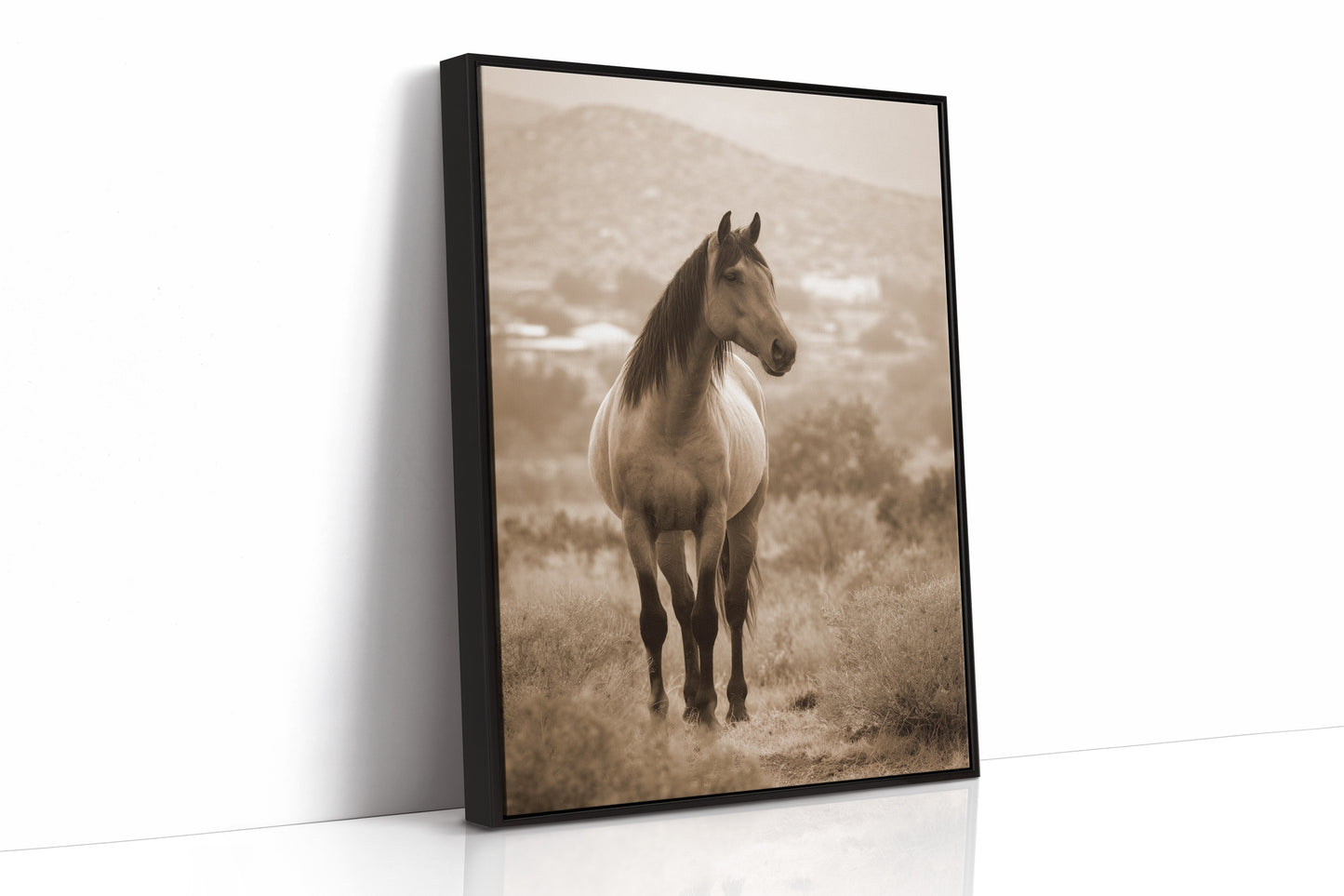 AL1833 - Premium Art Print - Black Framed Canvas image 1