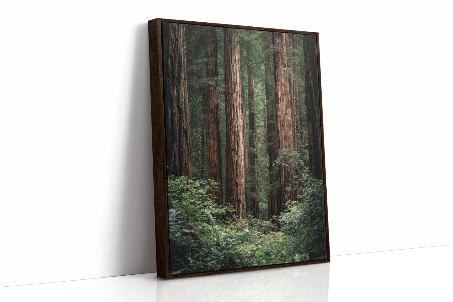 AL1864 - Premium Art Print - Brown Framed Canvas image 1