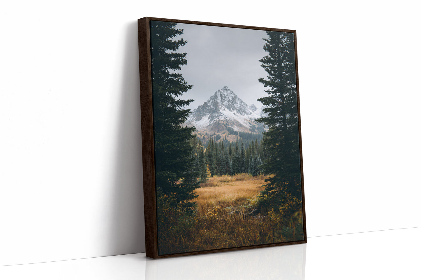 AL1865 - Premium Art Print - Brown Framed Canvas image 1