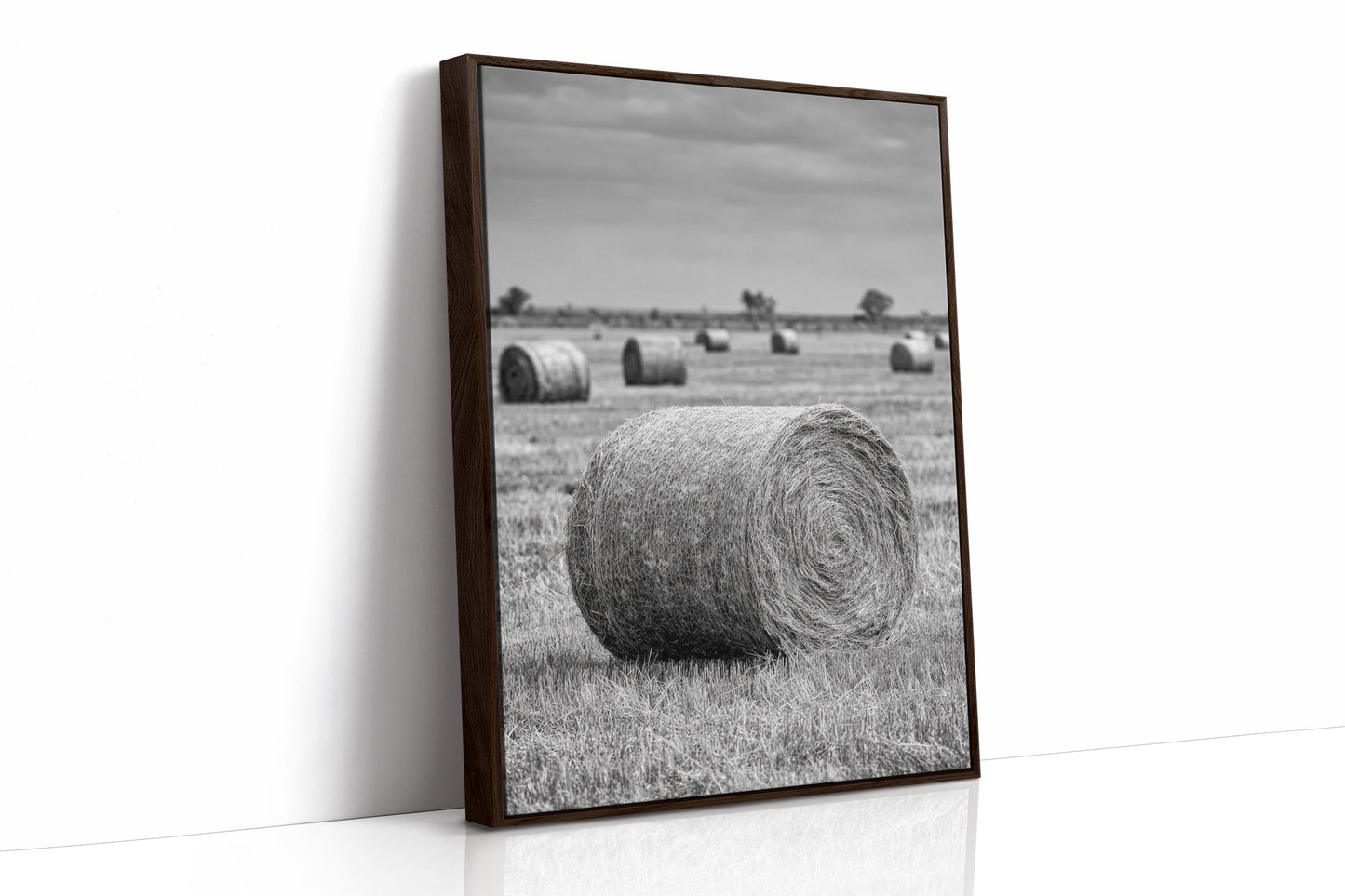 AL1828 - Premium Art Print - Brown Framed Canvas image 1