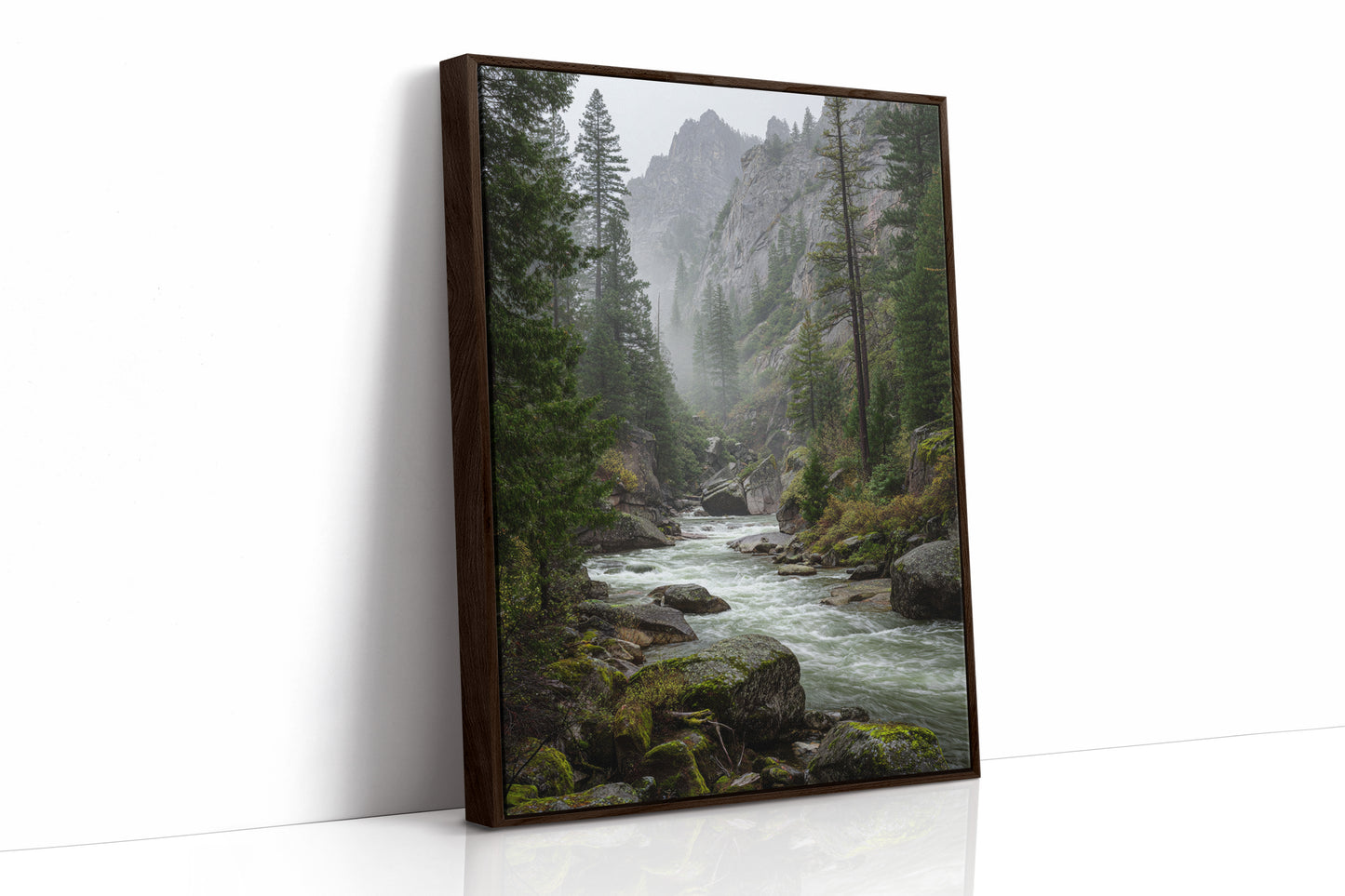 AL1808 - Premium Art Print - Brown Framed Canvas image 1