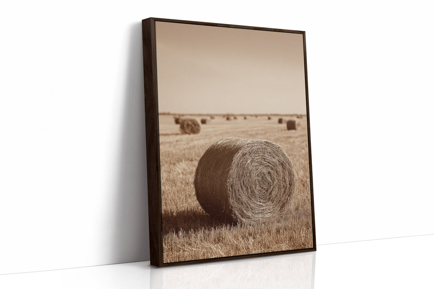 AL1813 - Premium Art Print - Brown Framed Canvas image 1