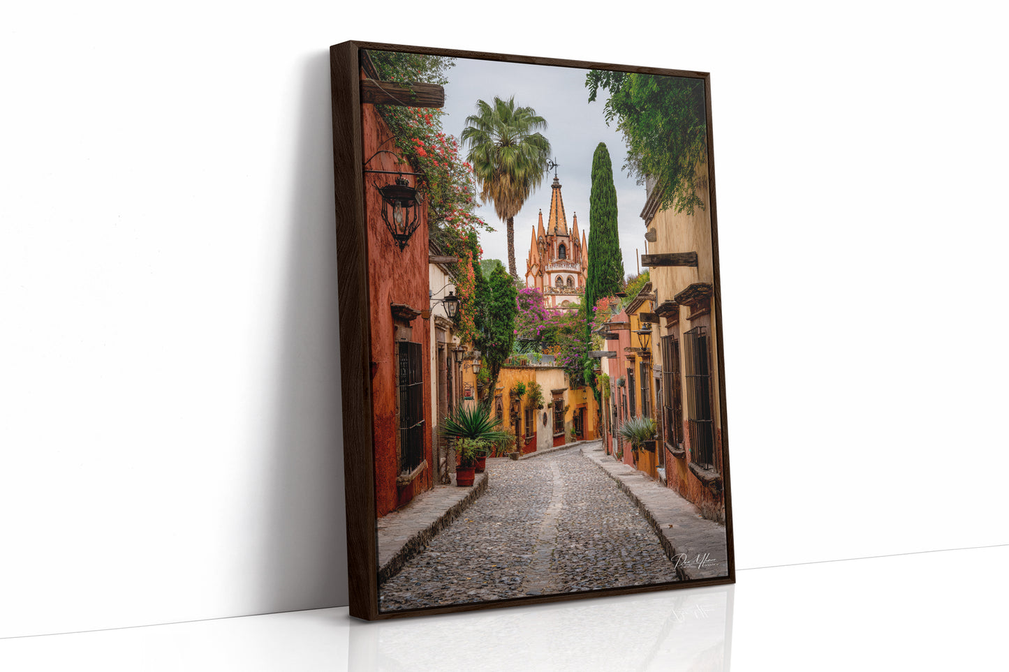 AL1814 - Premium Art Print - Brown Framed Canvas image 1