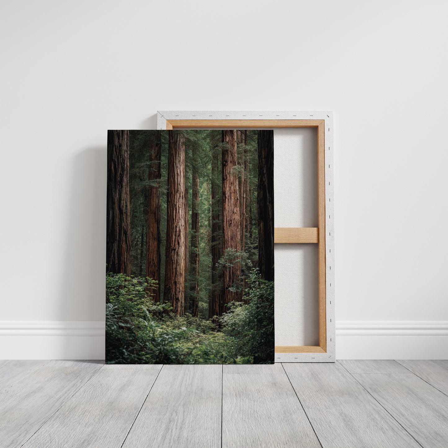 AL1864 - Premium Art Print - Gallery Canvas image 1