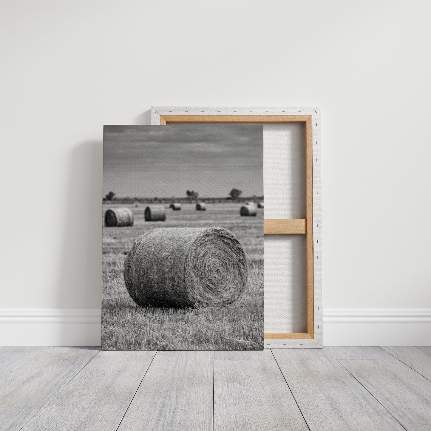 AL1828 - Premium Art Print - Gallery Canvas image 1