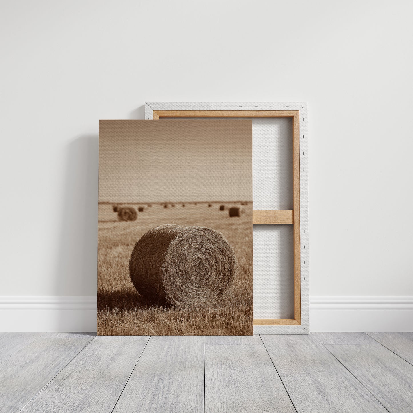 AL1813 - Premium Art Print - Gallery Canvas image 1