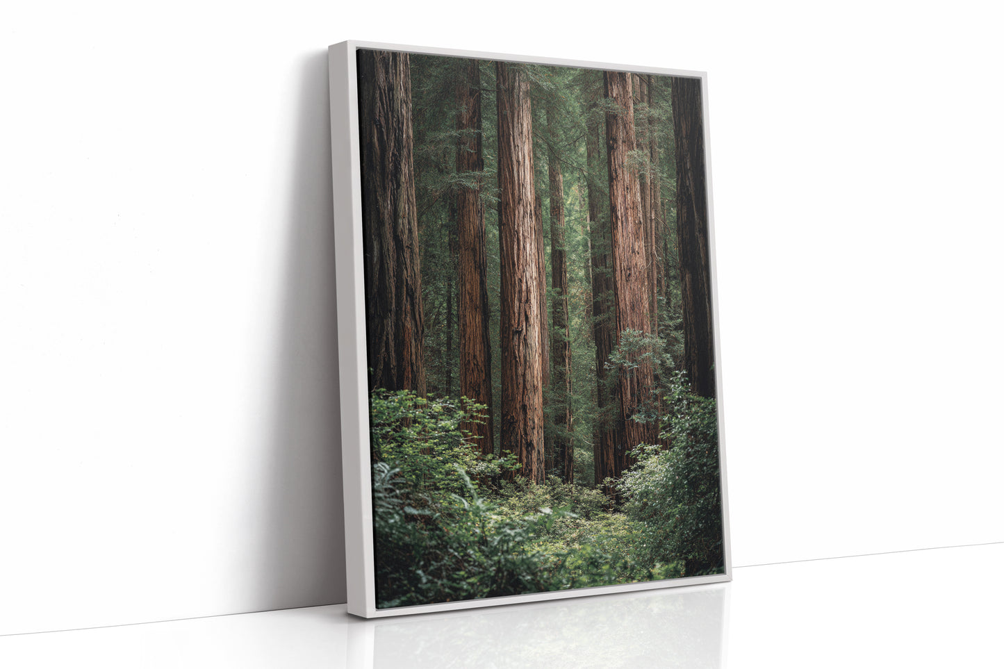 AL1864 - Premium Art Print - White Framed Canvas image 1