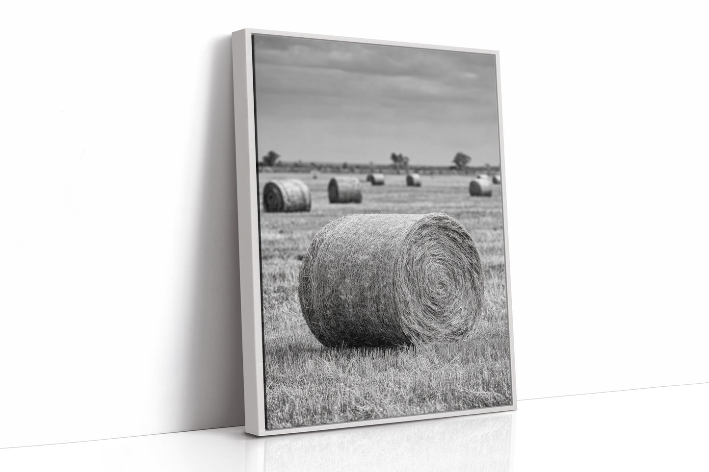 AL1828 - Premium Art Print - White Framed Canvas image 1