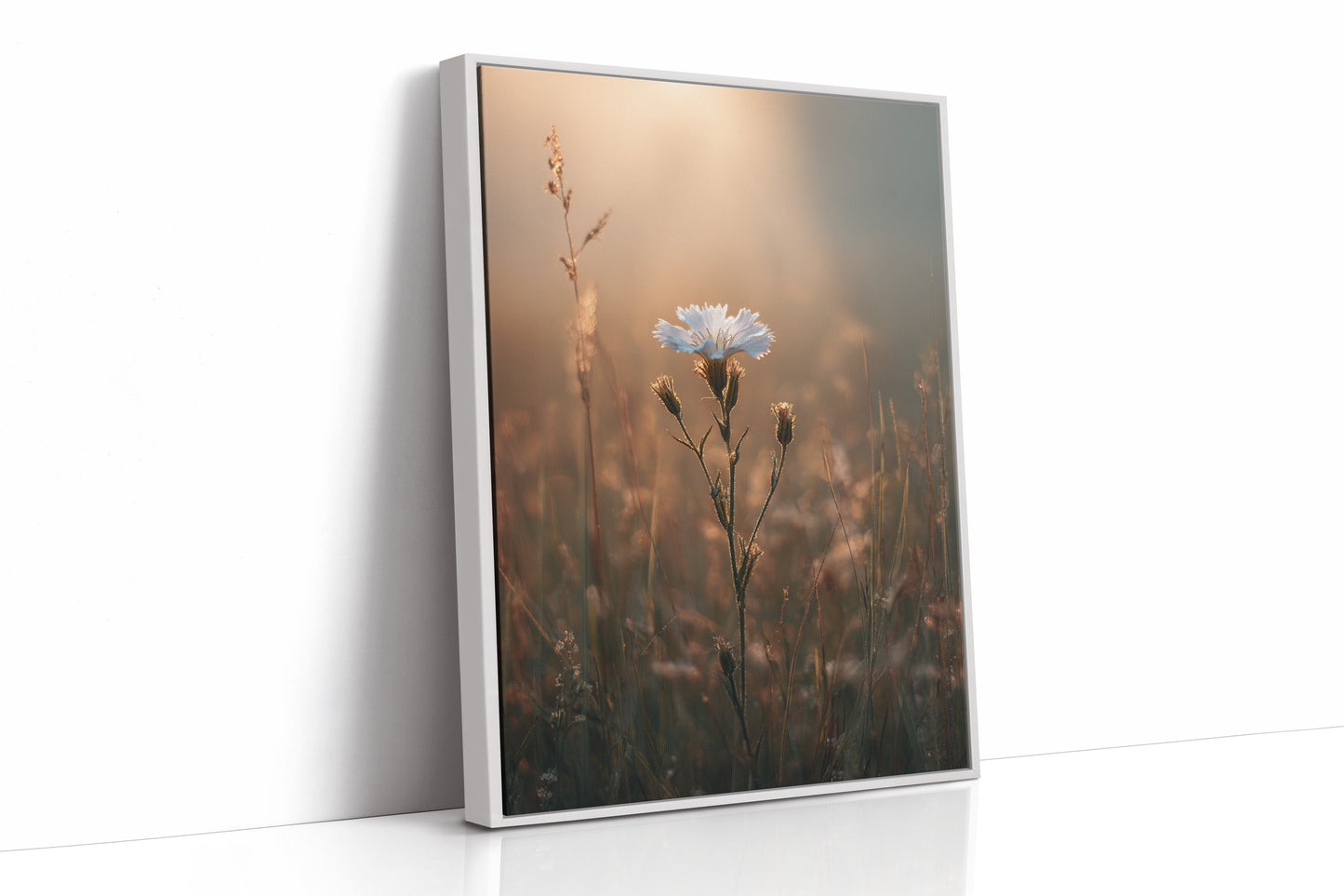 AL1825 - Premium Art Print - White Framed Canvas image 1