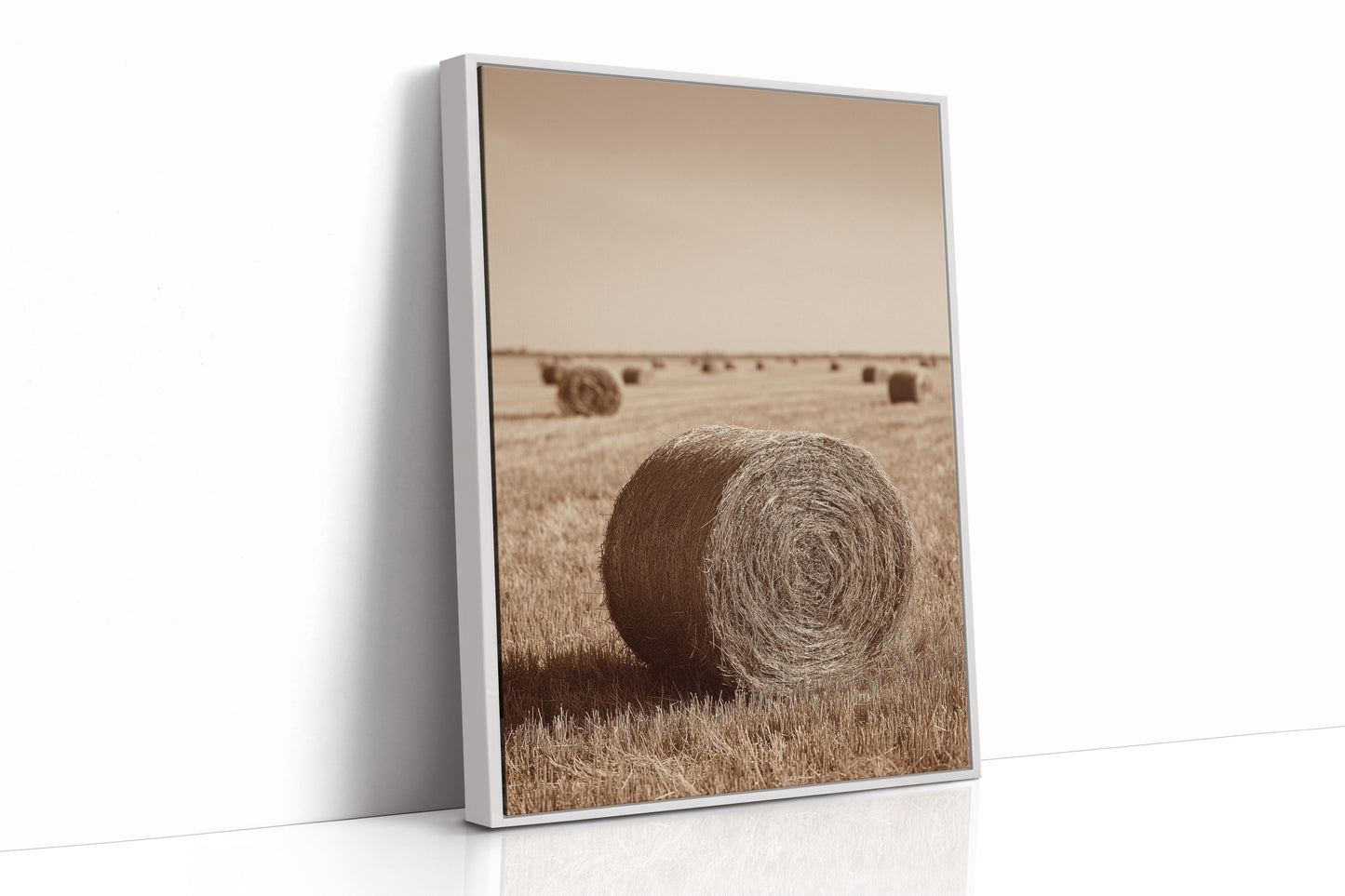AL1813 - Premium Art Print - White Framed Canvas image 1