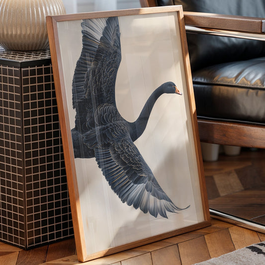 Black Swan Takes Evening Flight