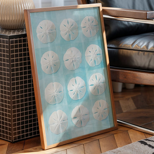 Sand Dollars Dance On Teal