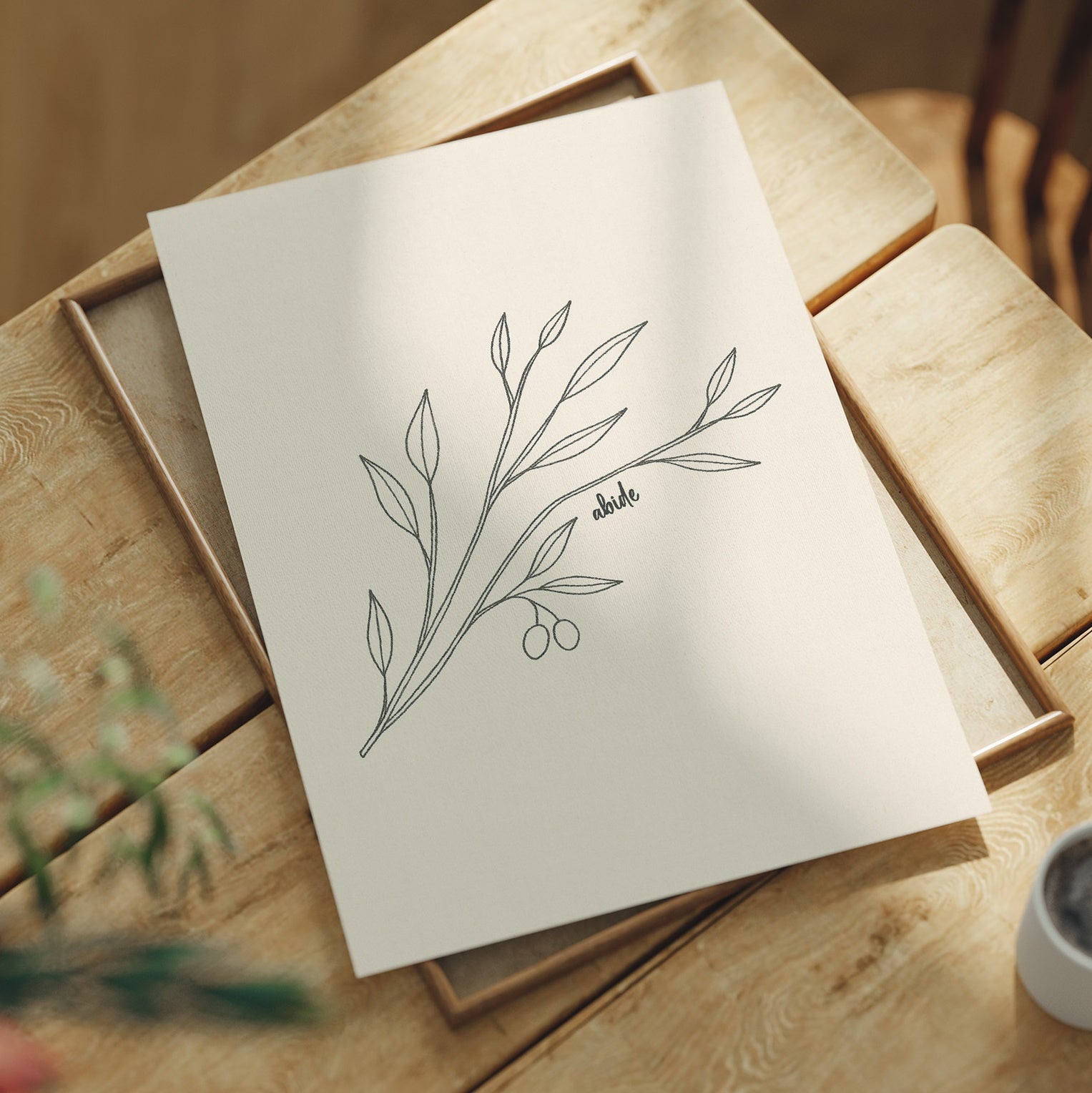 Olive Branch Sketches Quiet Promise
